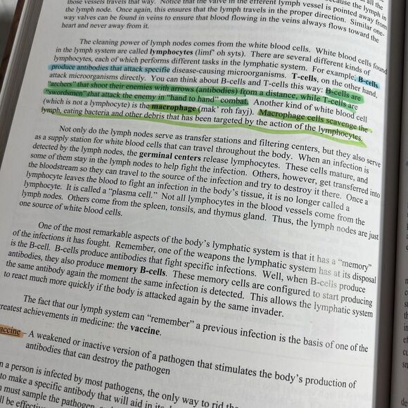 Exploring Creation with General Science 2nd Edition : Student Text by‎ Jay L.... - Picture 15 of 16